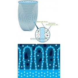 Filtres SAWYER : Principe de filtration Filtres SAWYER : Principe de filtration