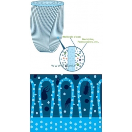 Filtres SAWYER : Principe de filtration