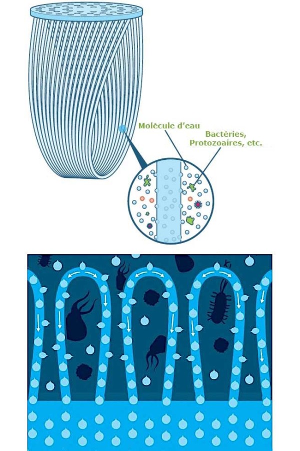 Filtres SAWYER : Principe de filtration