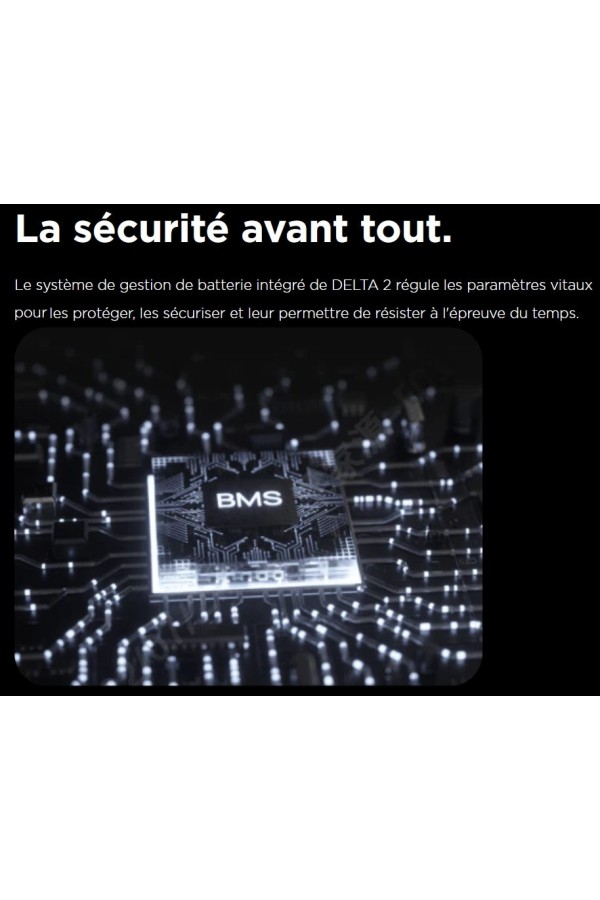 DELTA 2 ECOFLOW - Station de charge portable - 1024 Wh - Protection de batterie intégrée