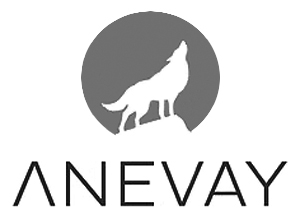 ANEVAY STOVES